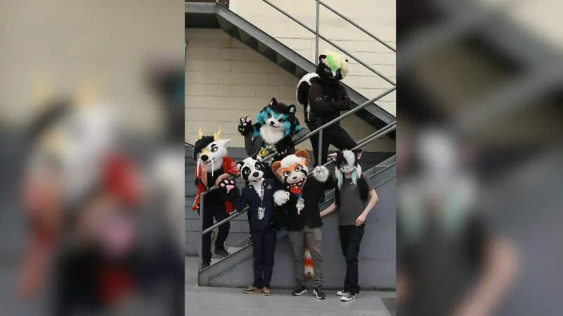Furros, una combinación entre la creatividad y el arte